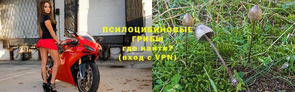 трава Осинники