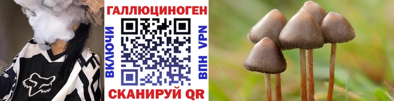 Псилоцибиновые грибы MAGIC MUSHROOMS  мориарти формула  Шарыпово  купить закладку 