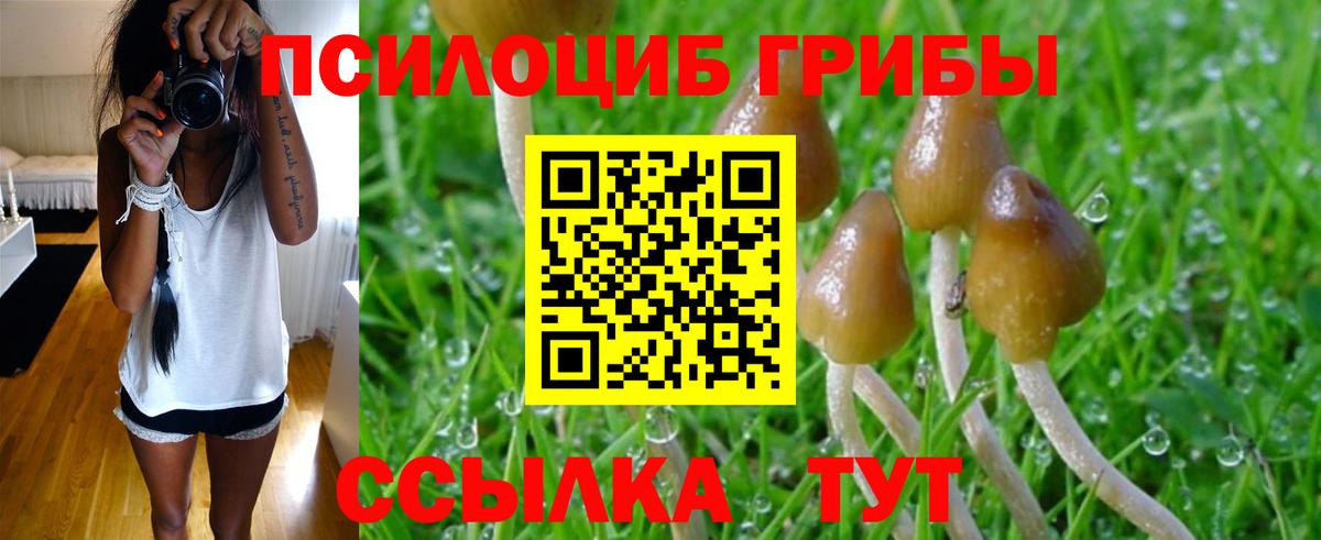 Галлюциногенные грибы MAGIC MUSHROOMS Шарыпово